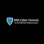 Ana cyber Profile Picture