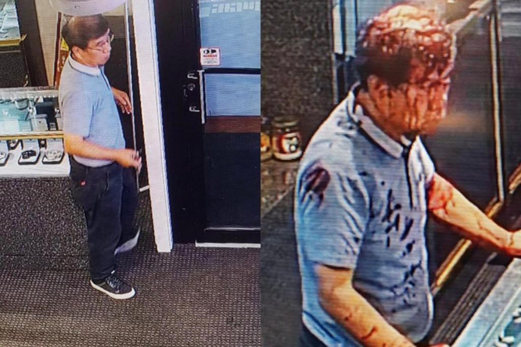 Delaware store owner, 68, pistol-whipped, hit with hammer in sickening 20-minute attack: video