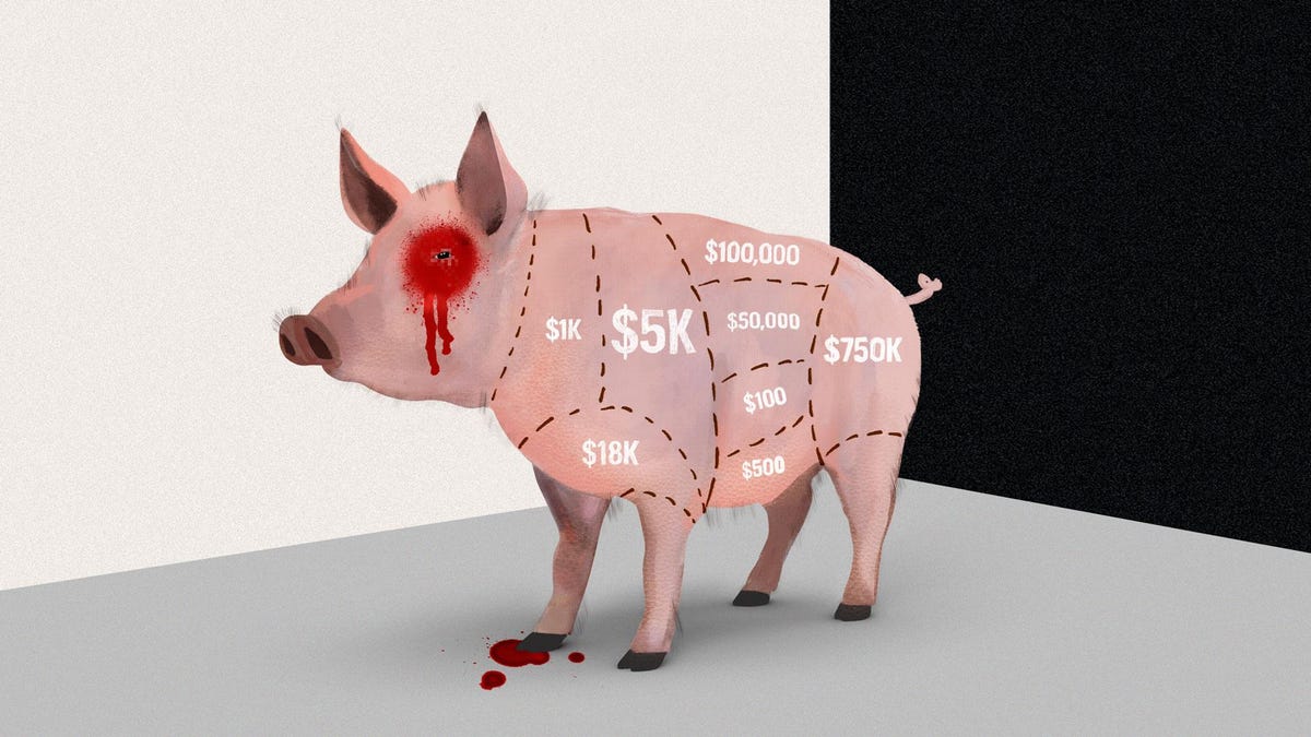 How One Man Lost $1 Million To A Crypto ‘Super Scam’ Called Pig Butchering