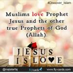 Islam Islam profile picture
