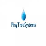 PingTree Systems Profile Picture