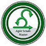 Scrum Master Council Profile Picture