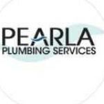 pearlaplumbing services Profile Picture