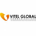Vitel Global India Profile Picture