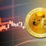 DogeCoin Millionaire Profile Picture