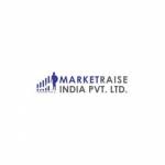 MarketraiseIndia MarketraiseIndia Profile Picture