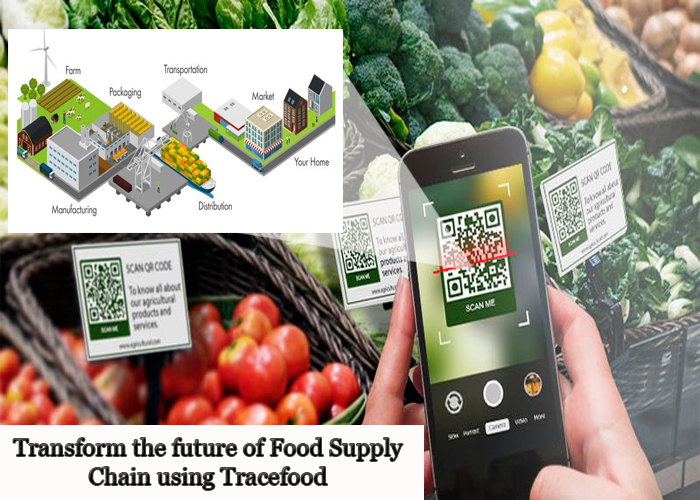 Food supply chain | Tracefood | supply chain | blockchain in supply chain