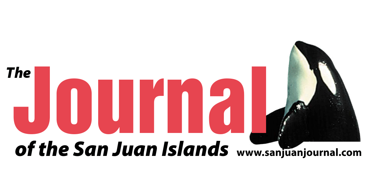 5 Best Cheap Essay Writing Services | The Journal of the San Juan Islands