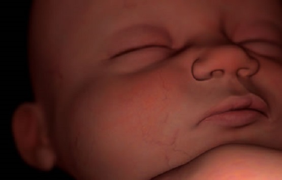 Minnesota House Passes Bill Legalizing Abortions Up to Birth - LifeNews.com