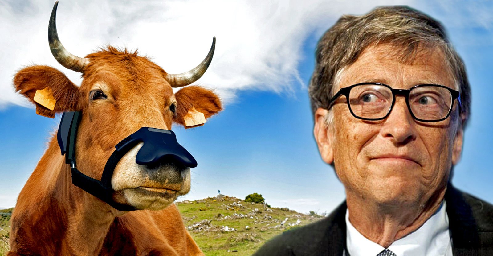 ‘Smart’ Masks for Cows? Gates Invests $4.7 Million in Data-Collecting Faceware for Livestock • Children's Health Defense