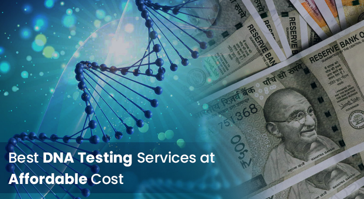 DNA Testing, Its Uses & the Determinants of DNA Test Cost in India - WriteUpCafe.com