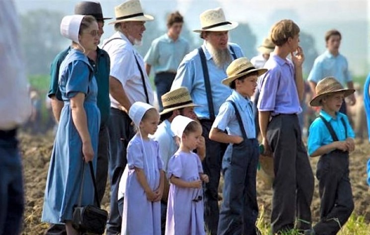 CDC Humiliated: Amish Reject Big Pharma and Emerge as the Healthiest People in the World! - American Media Group