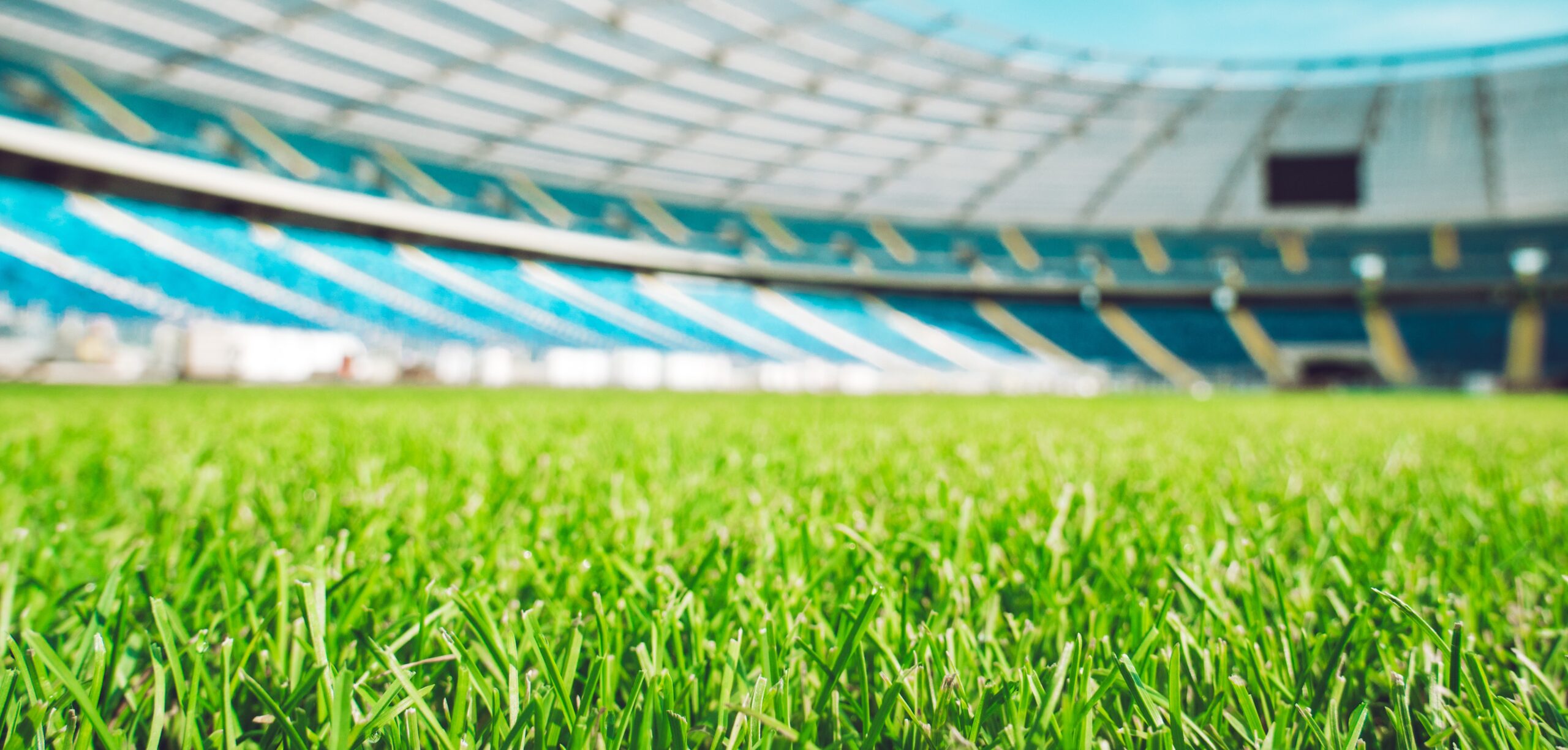 Sports Grass Benefits In Various Sports Ground
