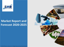 Shrimp Market Size, Share, Growth Report 2024-2032