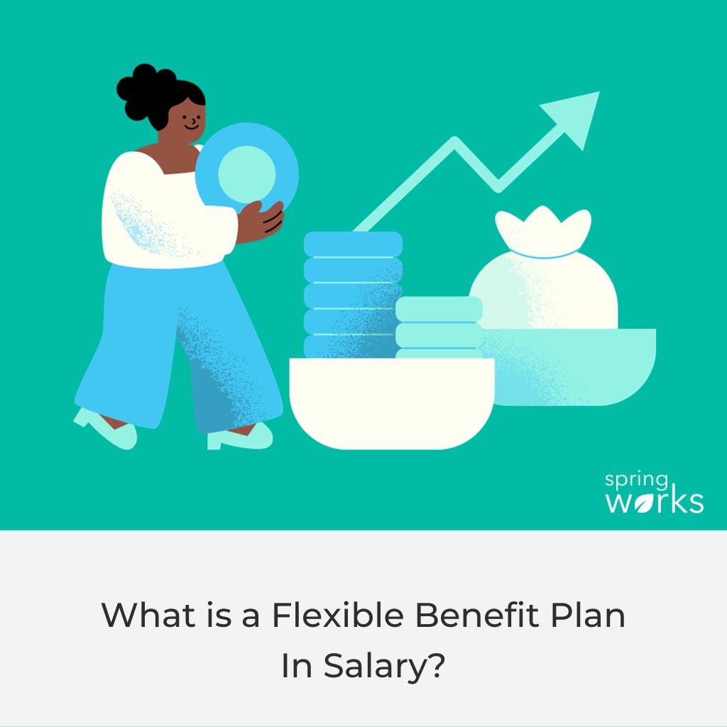 What is a Flexible Benefit Plan In Salary and How Does It Work? - Springworks Blog
