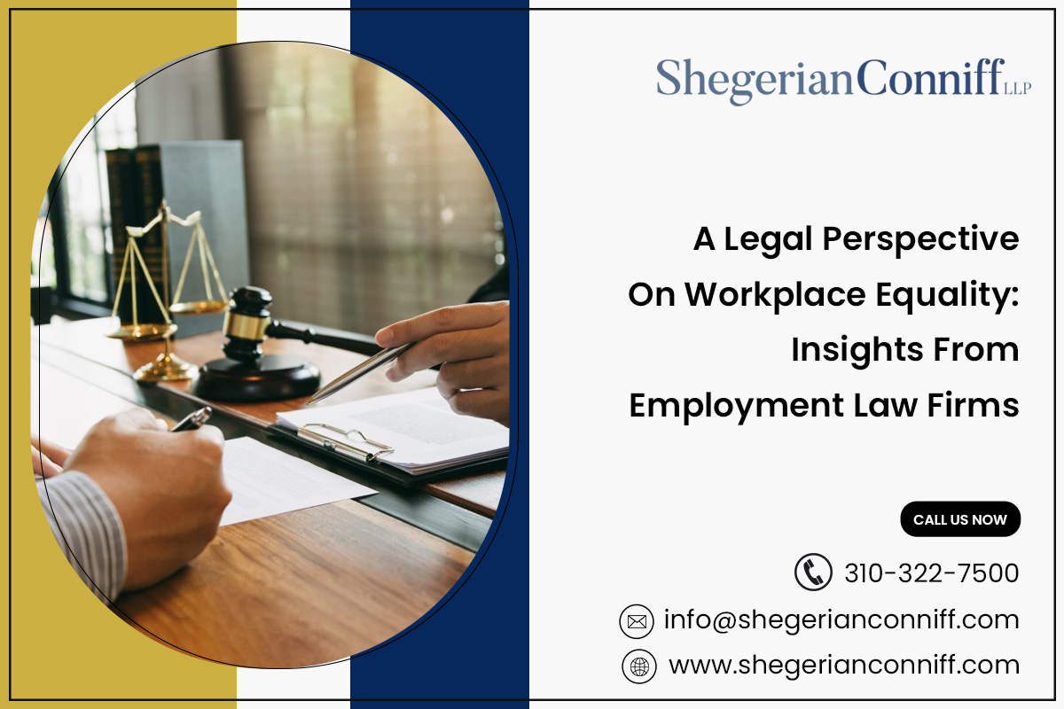 A Legal Perspective on Workplace Equality: Insights from Employment Law Firms – Shegerian Conniff