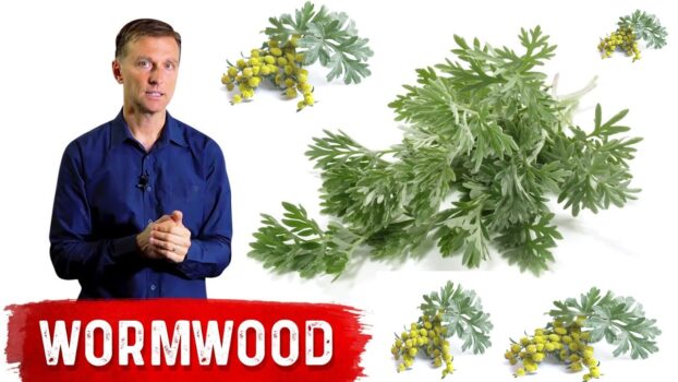 Wormwood Cancer Treatment: This Plant Kills 98% of Cancer Cells in Just 16 Hours – Targeted Cancer Cell Destruction! [VIDEO] - American Media Group