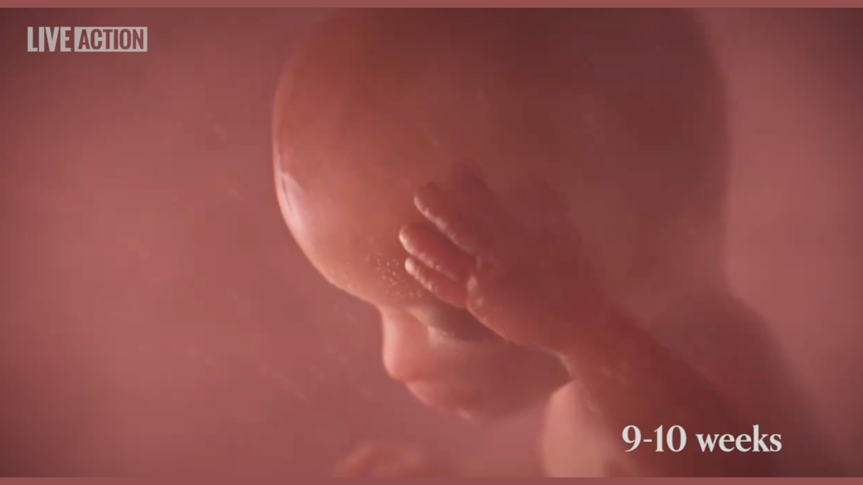 Tennessee Governor Signs 'Baby Olivia Act' Requiring Public Schools to Show Students Video of Unborn Babies Developing in the Womb (Video) | The Gateway Pundit | by Margaret Flavin