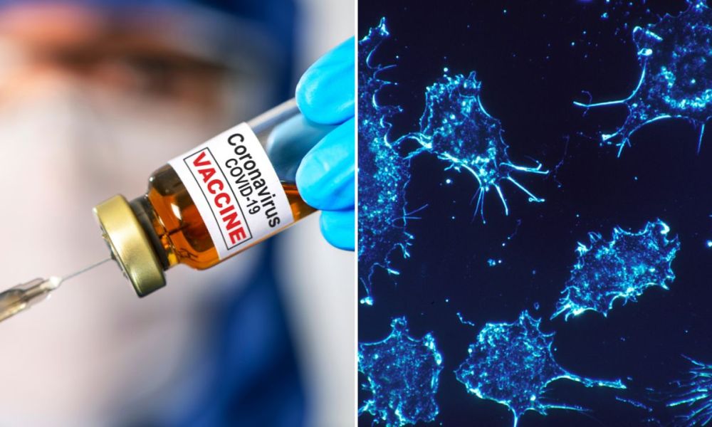 Confirmed: COVID mRNA Vaccines Contain Component that Suppresses Immune Response and Stimulates Cancer Growth – Vigilant News Network