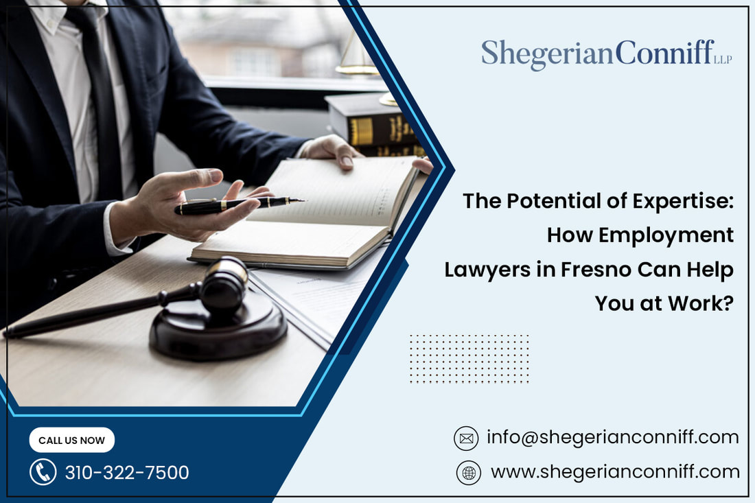 The Potential of Expertise: How Employment Lawyers in Fresno Can Help You at Work? - Shegerian Conniff