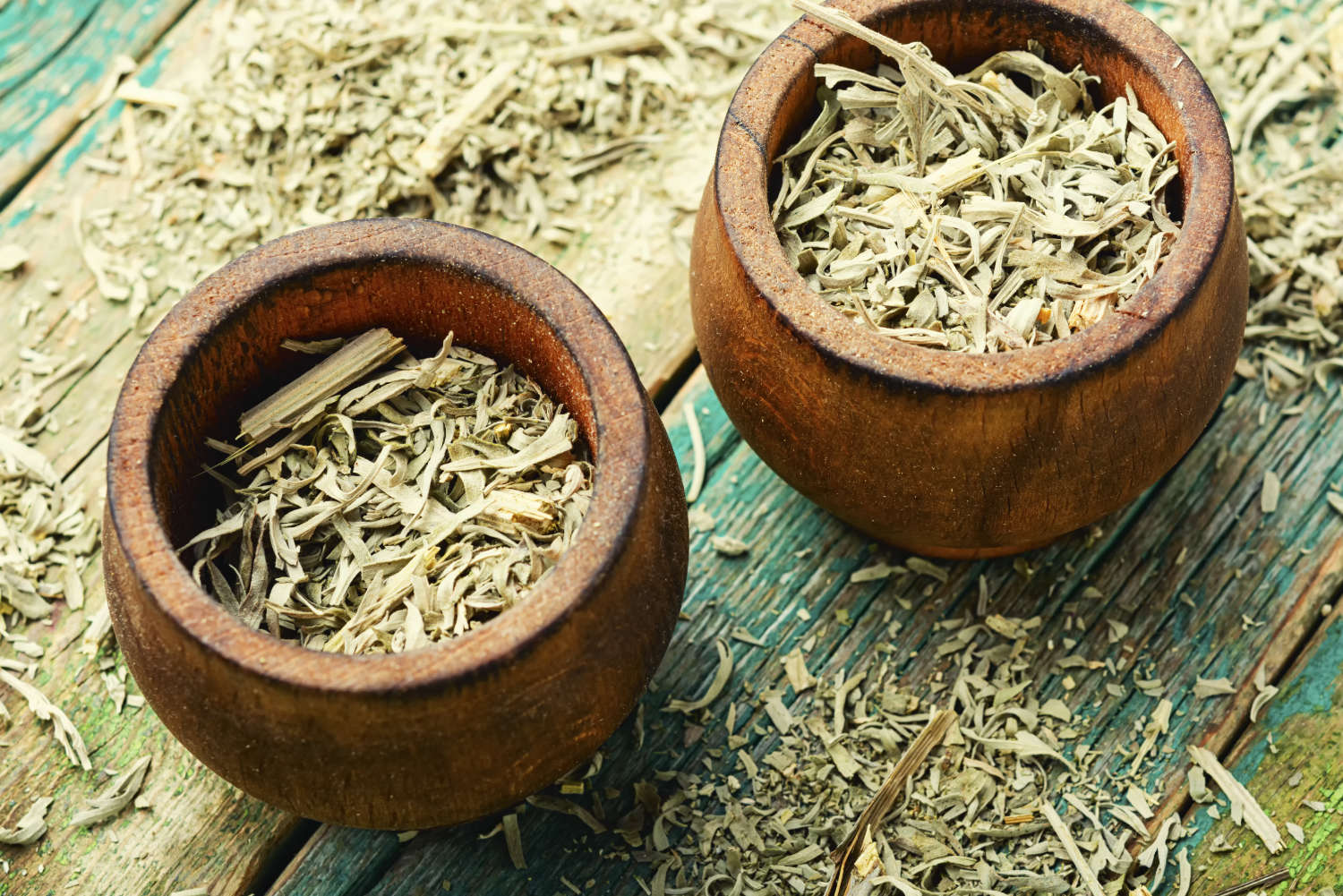 Les bienfaits du thé d’Artemisia annua pour une santé renforcée - Succes.ca