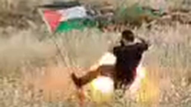 FAFO ◾️An Israeli settler spotted  Palestinian flag from car AND decided to remove it himself
