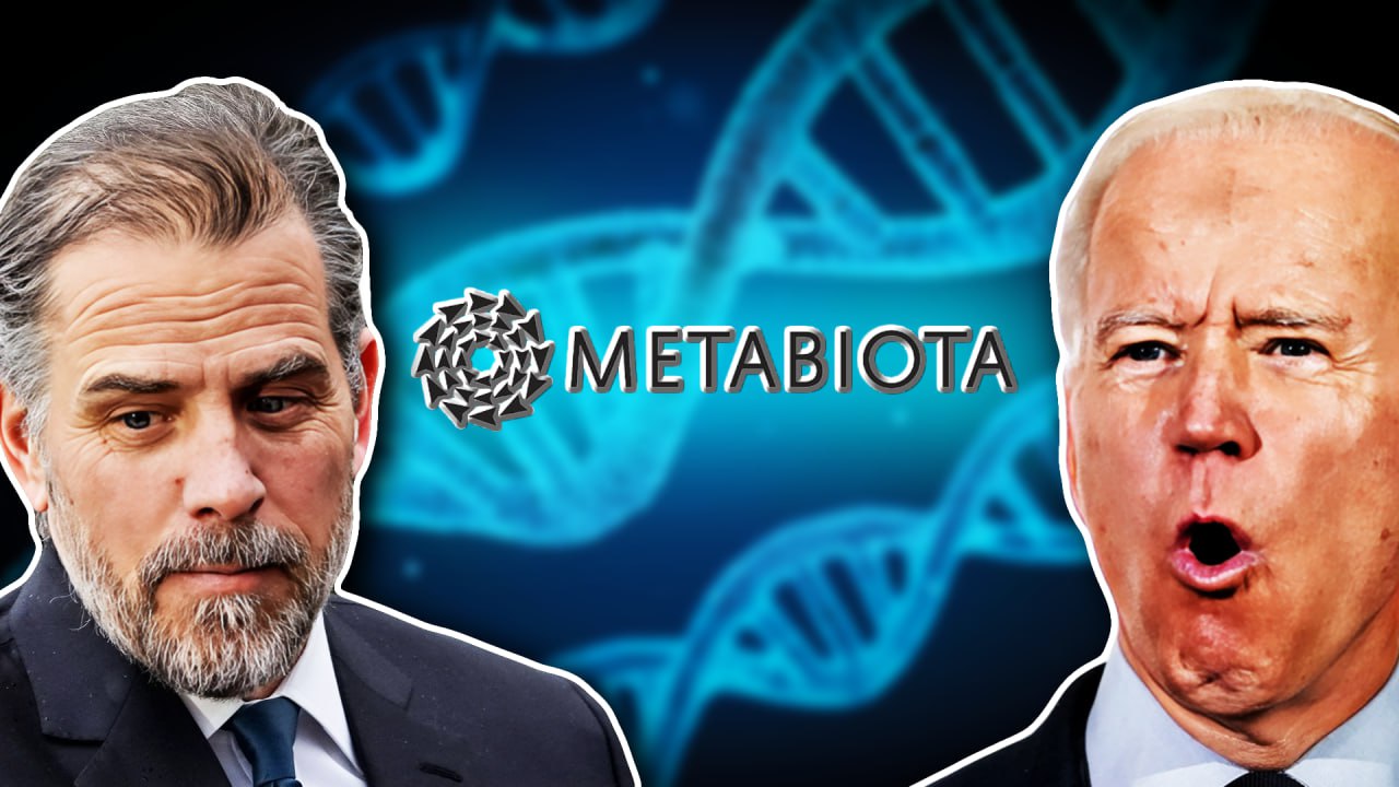 The Sinister Hunter Biden 'Pandemic' Investment The Media Isn't Talking About - Loomered