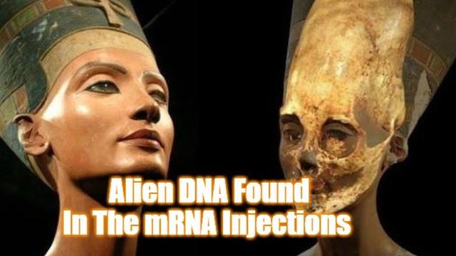 Alien DNA Found In The mRNA Injections