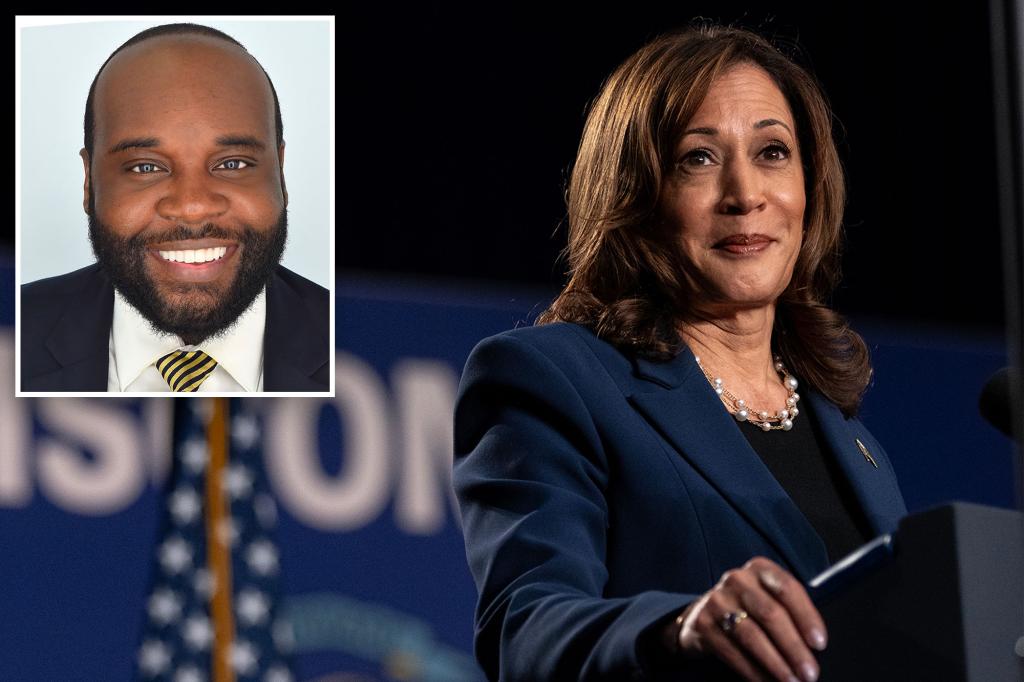 Sexist social media posts from Kamala Harris’ new senior campaign adviser resurface: ‘Know her place’