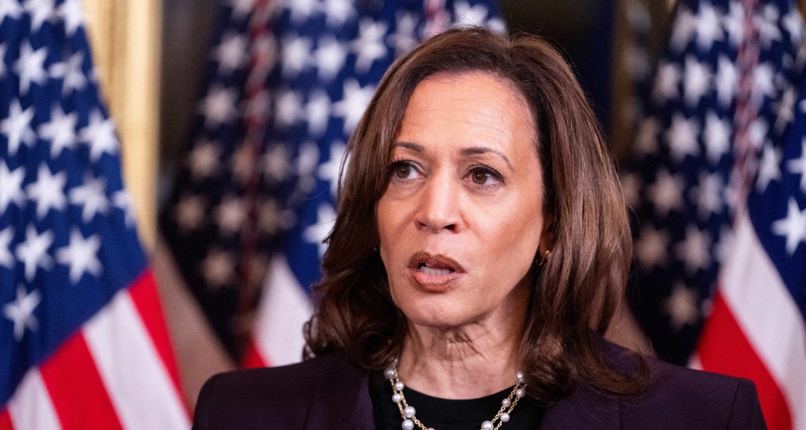 VP Harris' Prior Comments On ICE Come Back To Haunt Her