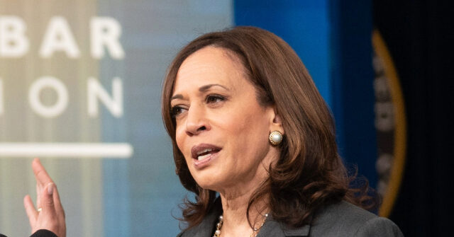 CNN Poll: 73% of Democrats Want Someone Other Than Kamala Harris as Nominee