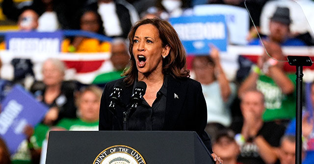 U. of Kansas Prof on Men Who Won't Vote for Kamala Harris: 'We Could Line All Those Guys Up and Shoot Them'