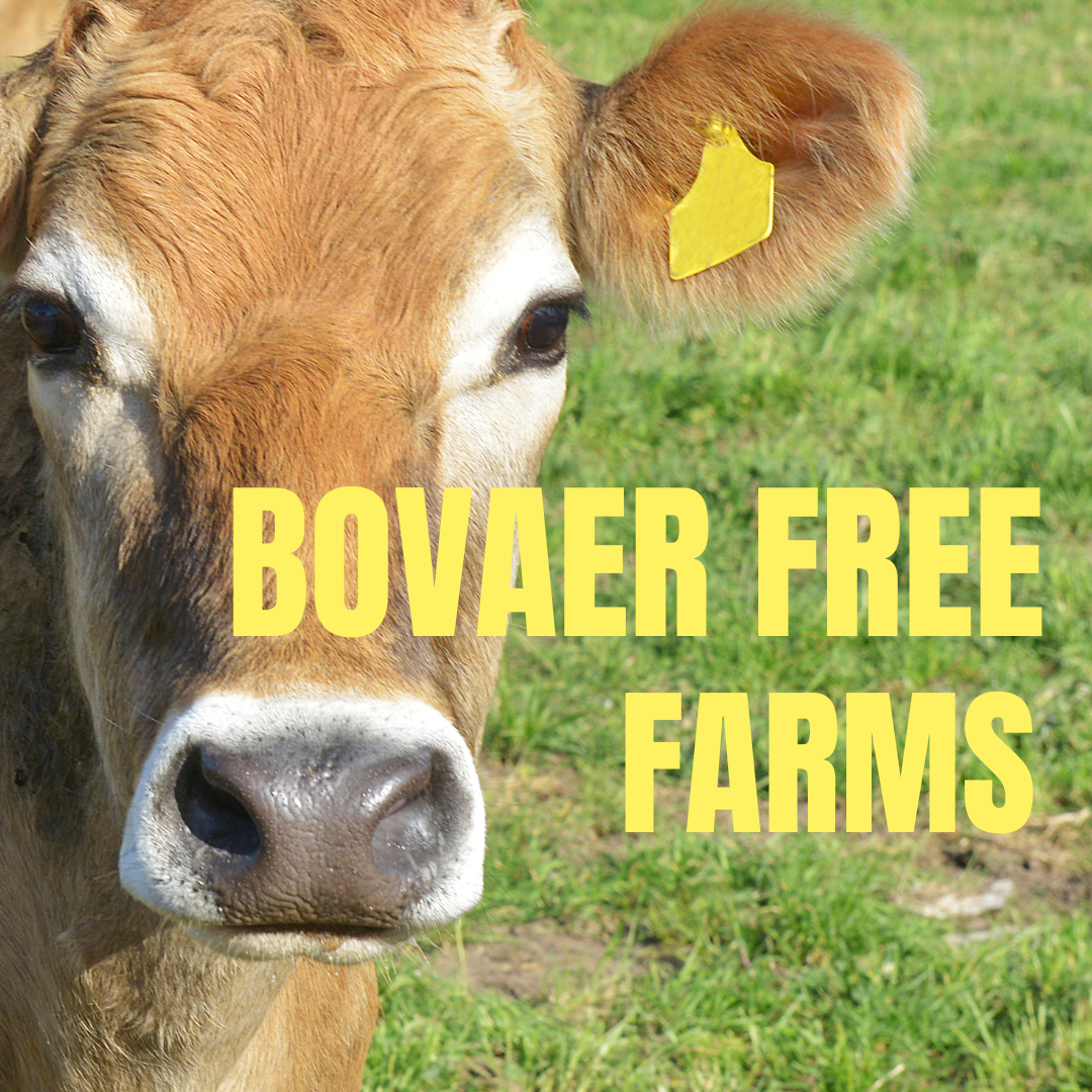 Home    | Bovaer Free Farms