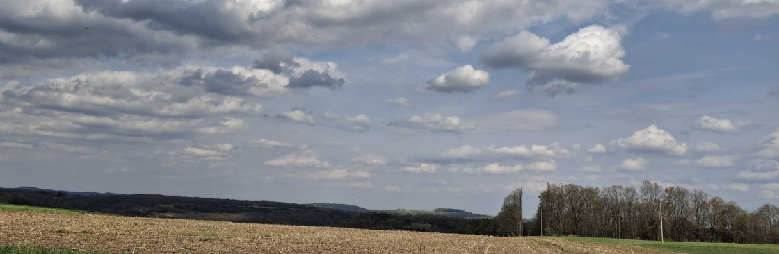 Michelle Cover Image