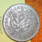 Alex Whitaker Profile Picture