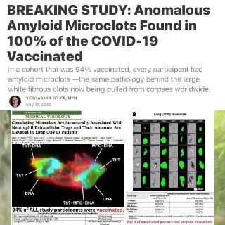 Telegram: View @thisandmore